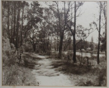 Photograph, Kenneth Marshall, Ringwood Lake around 1960, path on west side, circa 1960
