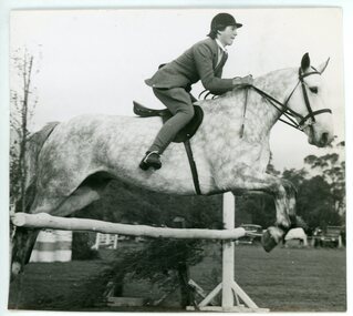 Photograph, The Victorian Horse Society Amateur Championships -Croydon Horse Show-12.4.1952