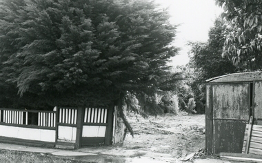 Photograph, 14 Warrandyte Road, Ringwood on 8th November 1992