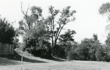 Photograph, Reynolds Avenue, Ringwood, opposite new units in item 10548. Note the survey peg. 27 May 1992