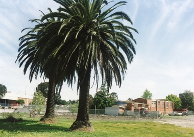 Photograph, Eastland from Warrandyte Road, Ringwood. Site of the Esso Garage (Demolished) and Scots Church Hall (To be demolished) to build the Eastland carpark on 24 October 1992