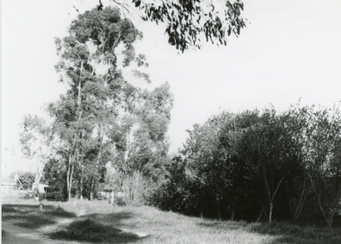 Photograph, Mullum Mullum Creek near Bardia Street, Ringwood on 10 September 1989