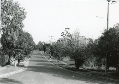 Photograph, Bardia Street, Ringwood at the Mullum Mullum Creek end on 10 September 1989