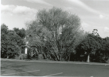 Photograph, Parking area at the rear of the old Ringwood Library in Pratt St, Ringwood on 10 September 1989