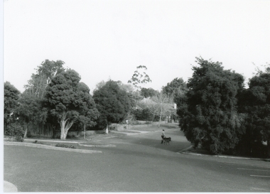 Photograph, Old Ringwood Library at the end of Pratt Street, Ringwood on 10 September 1989
