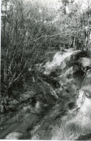 Photograph, Mullum Mullum Creek near end of Bardia Street, Ringwood on 10 September 1989