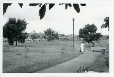 Photograph, Staley Gardens