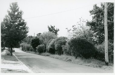 Photographs, Suda and Khassa Ave Ringwood, Before and after Ringwood Bypass Construction 1993