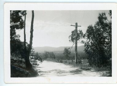 Photograph, View from Milton Street, Heathmont . 1952-3