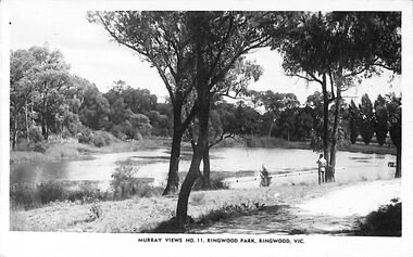 Postcard, Photograph - Murray Views No.11. Ringwood Park, Ringwood, Vic
