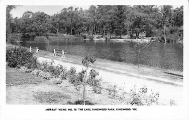 Postcard, Photograph - Murray Views No.16. The Lake, Ringwood Park, Ringwood, Vic