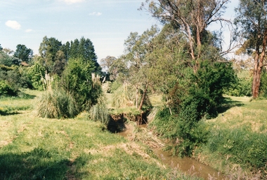 Photograph, Mullum Mullum Creek on 29th Oct 1989, north bank 100m west of Harrison Street, Unknown date