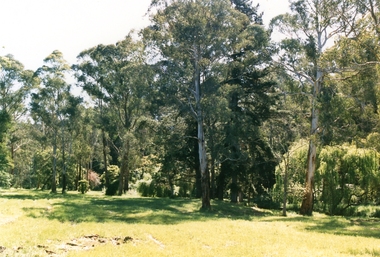 Photograph, Mullum Mullum Creek on 29th Oct 1989, corner of New and Nelson Streets, Unknown date