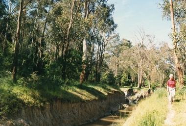Photograph, Mullum Mullum Creek on 29th Oct 1989, south bank near end of Margaret Street, 1989