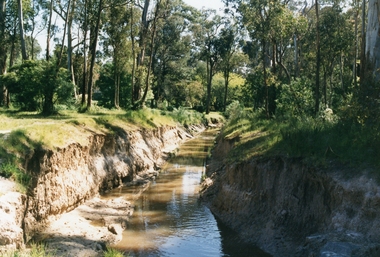 Photograph, Mullum Mullum Creek, 29th Oct 1989, south bank near end of Sherbrook Ave, 1989