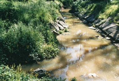 Photograph, Mullum Mullum Creek, 29th Oct 1989, near end of Burwood Ave, 1989