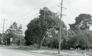 Photograph, Maroondah Hwy near Oban Road, 28th January 1991, 1991