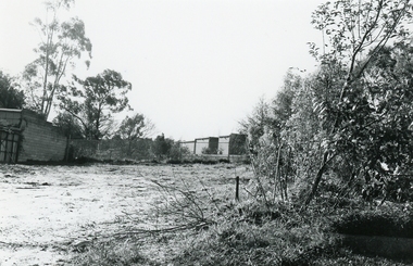 Photograph, 6 Pratt St, Ringwood, 12th August 1991, 1991