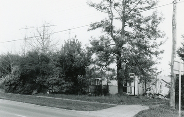 Photograph, 422 Canterbury Road, South side, near Heatherdale Road, 2nd August 1991, 1991