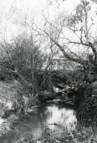 Photograph, Mullum Mullum Creek off Miles Avenue, view towards Warrandyte Road about where Melbourne St was on 10th September 1989, 1989