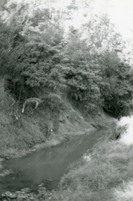 Photograph, Mullum Mullum Creek between the library and St Pauls on 10th September 1989, 1989