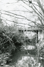 Photograph, Mullum Mullum Creek at the Ringwood Street bridge, west side on 10th September 1989, 1989