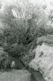 Photograph, Mullum Mullum Creek on south side about half-way between Ringwood Street and Acadia Street on 10th September 1989, 1989