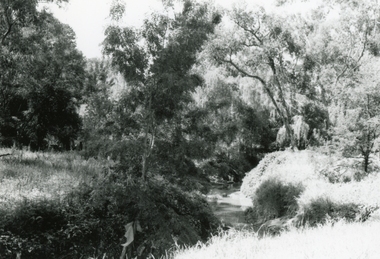 Photograph, Mullum Mullum Creek near New and Nelson Streets corner, downstream, on 29th October 1989, 1989