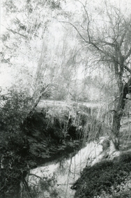 Photograph, Mullum Mullum Creek towards Ringwood Street, near old Melbourne Street off Miles Avenue, on 10th September 1989, 1989