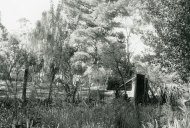 Photograph, Mullum Mullum Creek, fenced garden of a Munro St property that has encroached into the creek boundary 29th October 1989, 1989