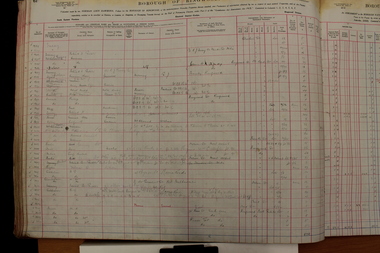 Administrative record - Rate Books, Borough of Ringwood Valuation & Rate Book for 1924 (Assessments 2381-2580), March 2012