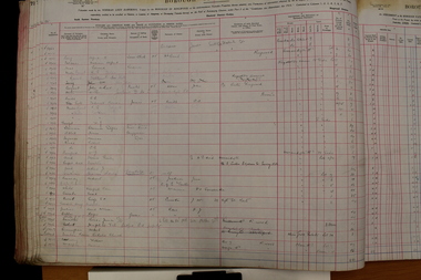 Administrative record - Rate Books, Borough of Ringwood Valuation & Rate Book for 1924 (Assessments 2941-3035), March 2012