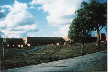 Photograph, Ringwood Market - circa 1960's