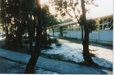 Photograph, Norwood primary School -circa 1960's