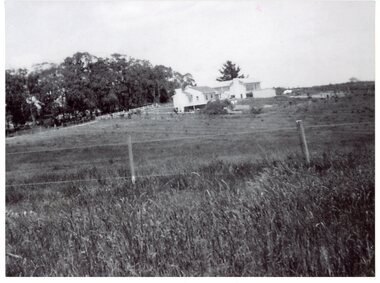 Photograph, View from McRae property in Bedford Road- Ringwood . Circa 1948