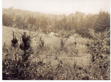 Photograph, View from Lamano's looking towards Wombolano Park Circa 1926