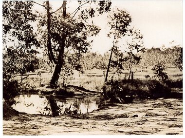 Photograph, View of Rawson's land -Ringwood -Circa 1909