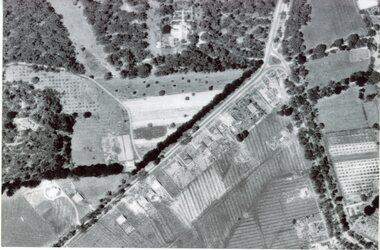 Photograph, Air photograph Homebush Court area Ringwood 1950