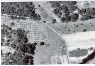 Photograph, Air photograph Homebush Court area Ringwood 1950