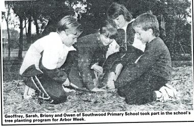 Newspaper - Newspaper Clipping, Sothwood Primary School -  Article from the Ringwood Post, May, 1991