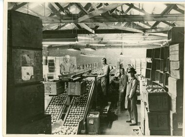 Photograph, Ringwood Coolstores Circa 1940's