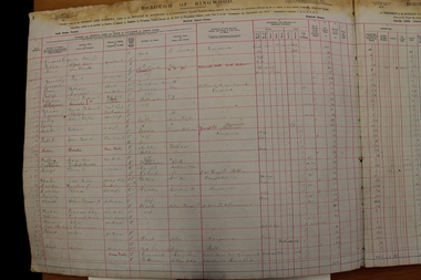 Administrative record - Digital, Borough of Ringwood Rate Books for 1924/25, Page 1