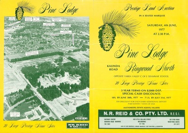 Flyer, Land Auction Sale Brochure, Pine Lodge, Ringwood North, Victoria - 1977