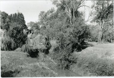 Photograph, Mullum Mullum Creek- 29-10-89