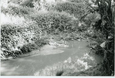 Photograph, Mullum Mullum Creek- 29-10-89