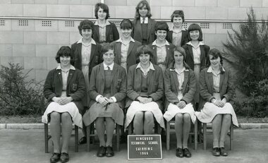 Photograph - Group, Ringwood Technical School 1966 Female Swimming Team, c 1966