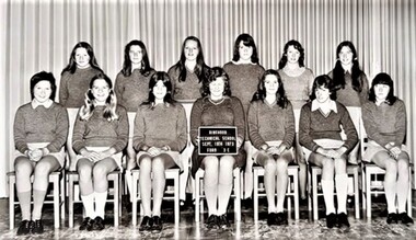 Photograph - Group, Ringwood Technical School 1973 Form 3E, c 1973