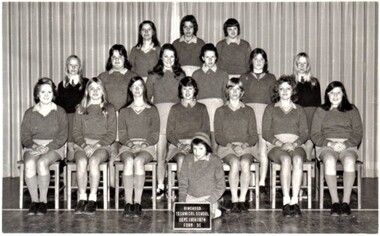 Photograph - Group, Ringwood Technical School 1974 Form 3C