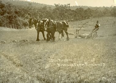 Photograph, Berringa Farm Ringwood - disc ploughing Circa 1910