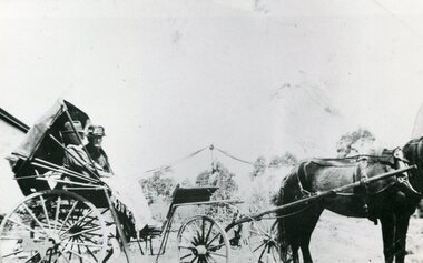 Photograph, Mr & Mrs J.McAlpin in horse drawn carriage- Ringwood,  c1918